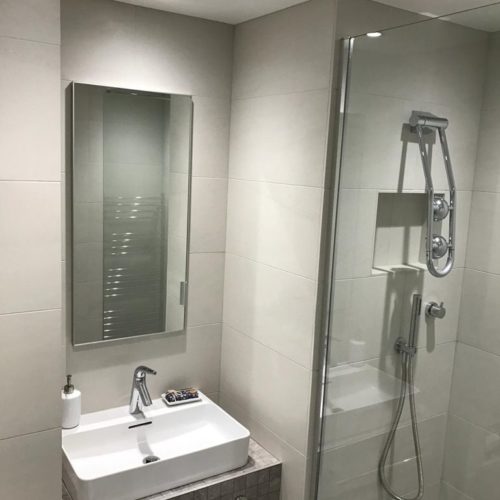 Modern Grey Shower Room