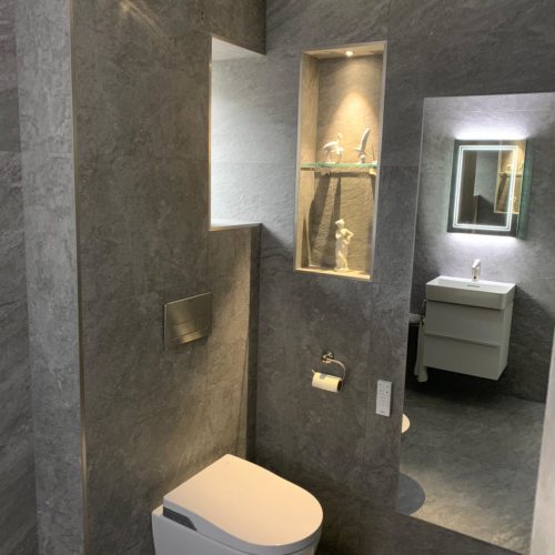 Luxury Walk in Shower with Hidden Mirror Storage