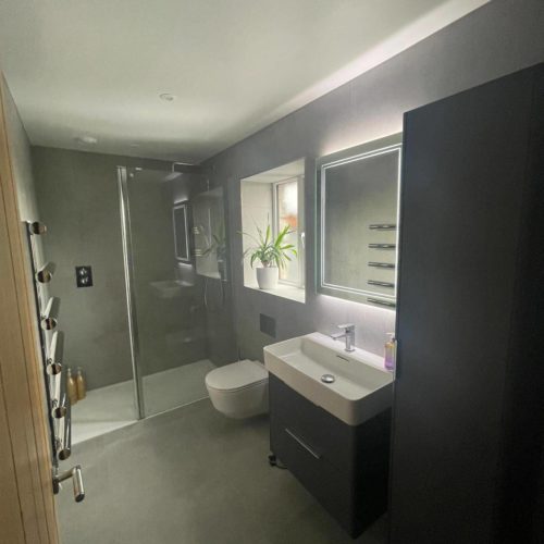 Modern walk in Shower room